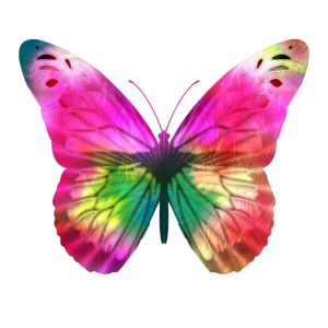 Beautiful butterfly representing unique strengths and circumstances